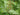 The Long Game: Why Woody Plants Are the True Foundation of a Climate-Resilient Garden