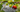 Edimentals: The Art of Blending Beauty and Bounty in the Garden