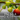 Edimentals: The Art of Blending Beauty and Bounty in the Garden
