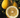 Ponderosa lemon tree with large citrus fruit in container