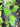 Ficus heterophylla