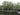 Taxodium distichum