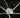 Hymenocallis liriosme