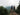 Four Days in the Cove: A Field Dispatch from the Cullowhee Native Plant Conference