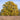 Mature oak tree with a broad crown in autumn