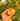 Lakeland Limequat