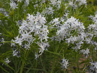 The Southern Structure Kit