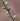 Salix tristis