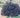 Rhaphiolepis umbellata 'Blueberry Muffin'