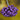 Callicarpa bodinieri var. giraldii 'Profusion', beautyberry, dense clusters of metallic violet berries ringing arching stems