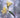 Gelsemium sempervirens "Pale Yellow"