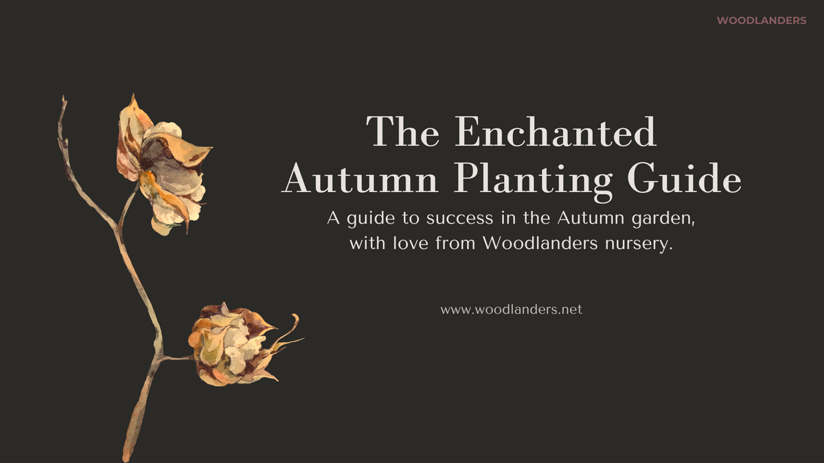 Woodlanders Autumn Planting Guide