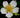 Fragaria virginiana