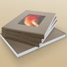 Into the Woodlands rare plant book for gardeners