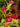 Java Red Weigela shrub with purple foliage and pink flowers