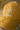 Woodlanders hat