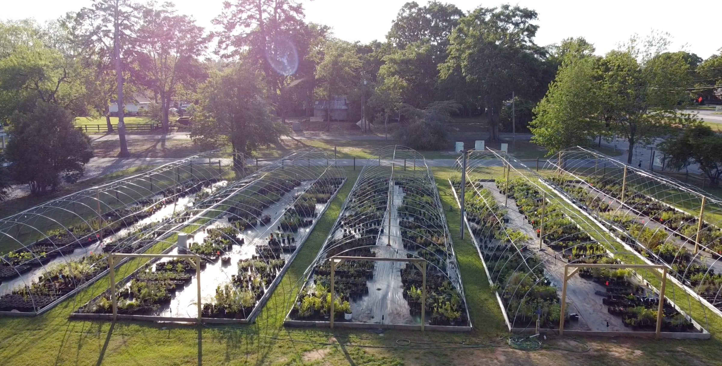 Aerial drone view of Woodlanders nursery.