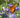 Duranta erecta