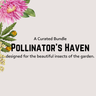 Pollinator plants bundle with lavender and marigolds in bloom