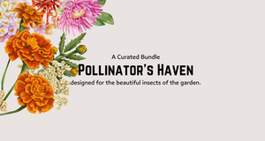 Pollinator plants bundle with lavender and marigolds in bloom